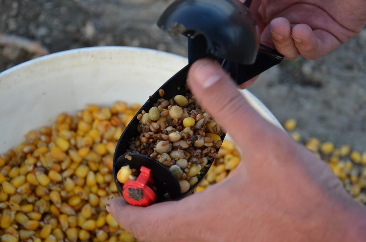 Patul de nada. O enigma a pescarilor?